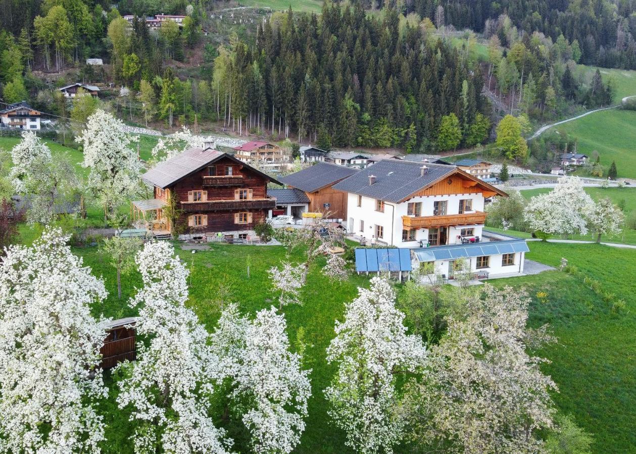 Ferienhaus Bognerhof Sankt Veit im Pongau Zewnętrze zdjęcie